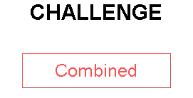 CHALLENGE