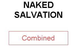 NAKED SALVATION