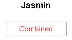 Jasmin