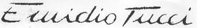 EMIDIO TUCCI (STYLIZED)