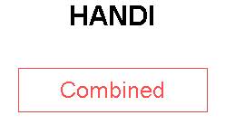 HANDI