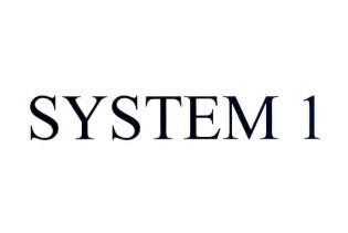 SYSTEM 1
