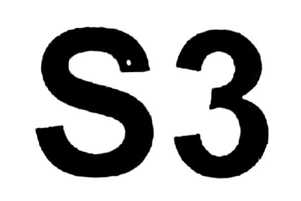 S3