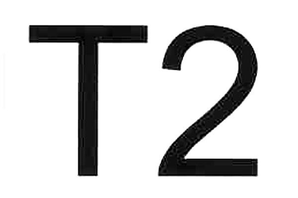 T2