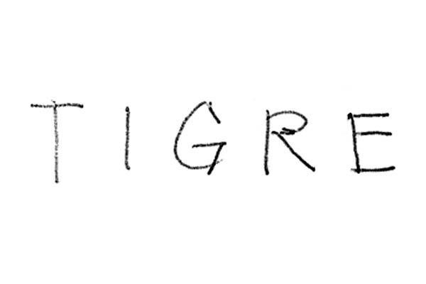 TIGRE