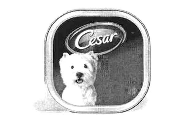CESAR