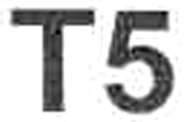 T5