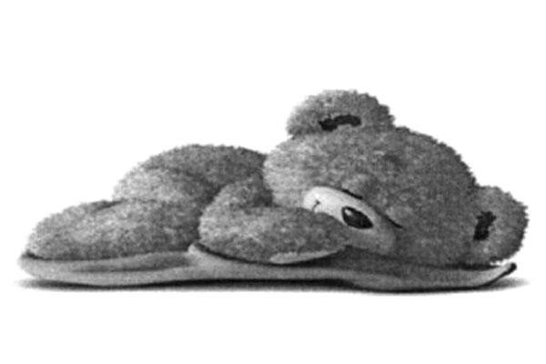 BEAR ON BLANKET DEVICE