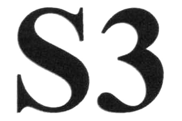 S3