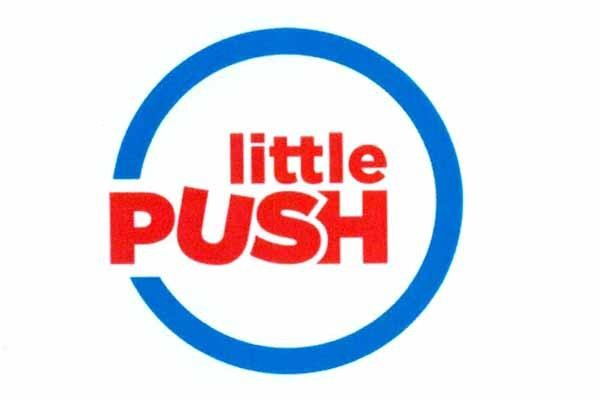 LITTLE PUSH