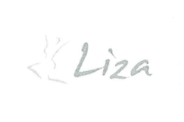 LIZA