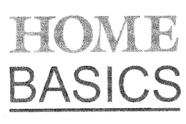 HOME BASICS