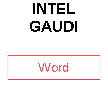 INTEL GAUDI