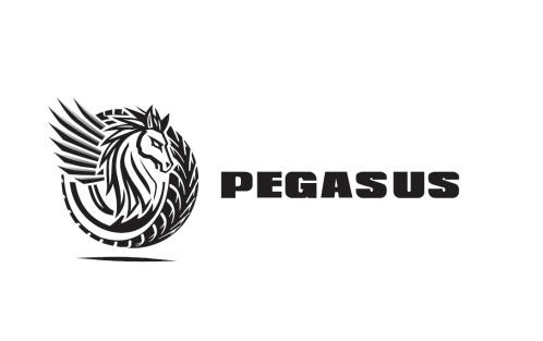 PEGASUS