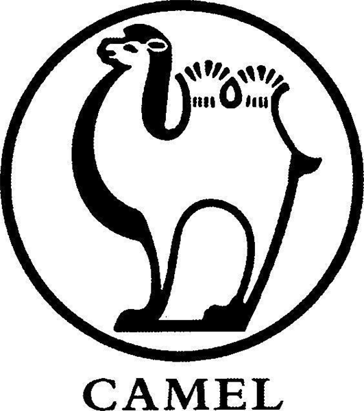 CAMEL