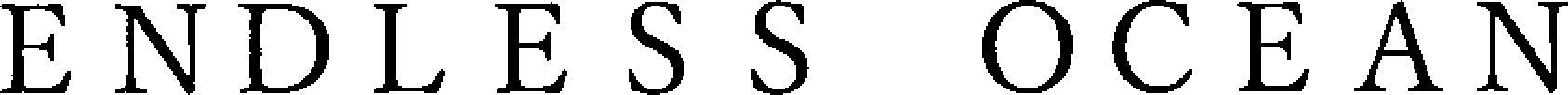 ENDLESS OCEAN