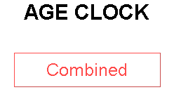 AGE CLOCK
