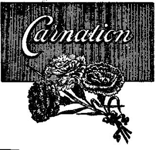 CARNATION