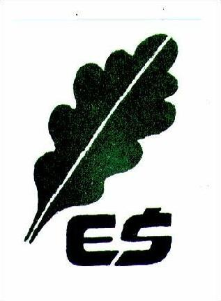 EŚ