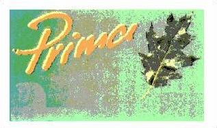 PRIMA