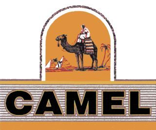CAMEL