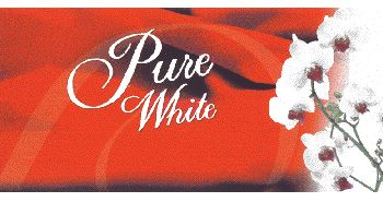 Pure White