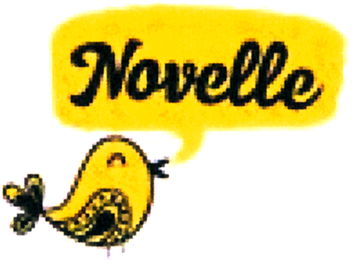 Novelle