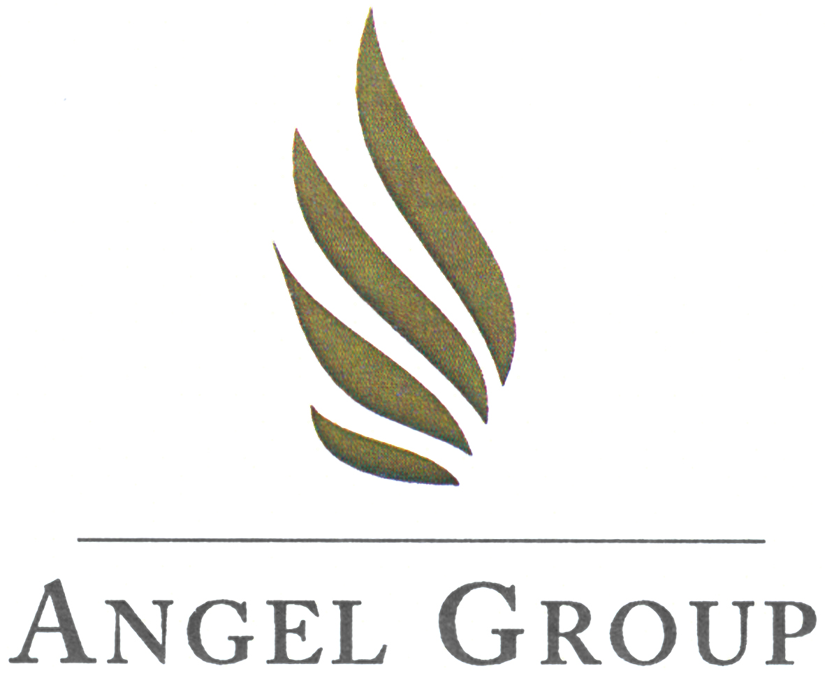 ANGEL GROUP