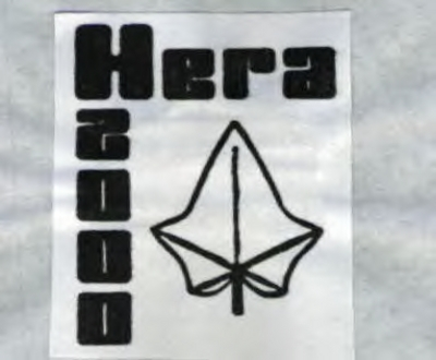 HERA 2000
