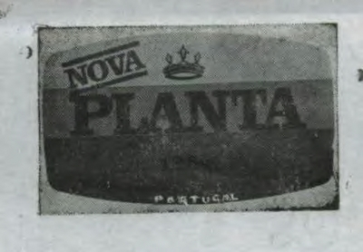 PLANTA