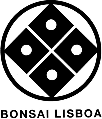 BONSAI LISBOA