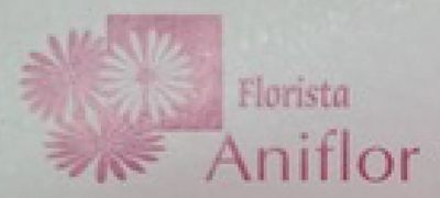 FLORISTA ANIFLOR 