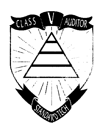 CLASS V AUDITOR