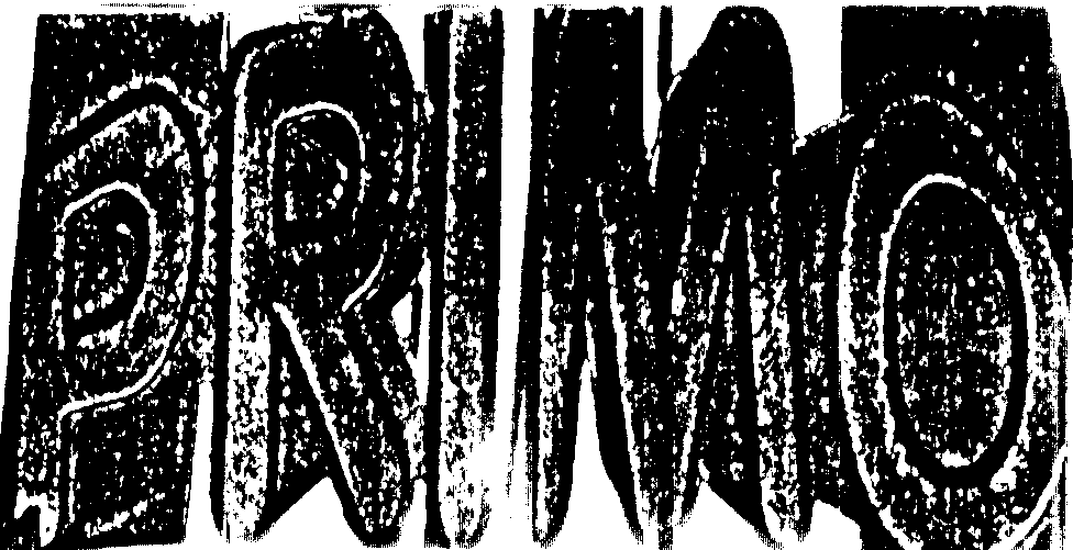 PRIMO