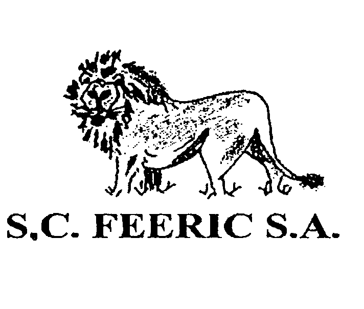 FEERIC
