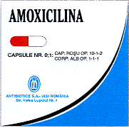 AMOXICILINA