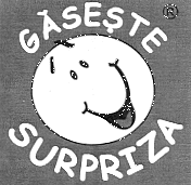 GĂSEŞTE SURPRIZA