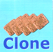 CLONE