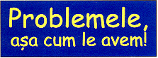 PROBLEMELE AŞA CUM LE AVEM !