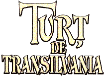 TURŢ DE TRANSILVANIA