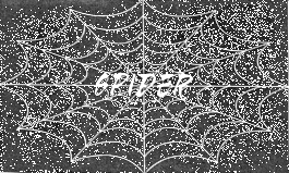 SPIDER