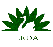 LEDA