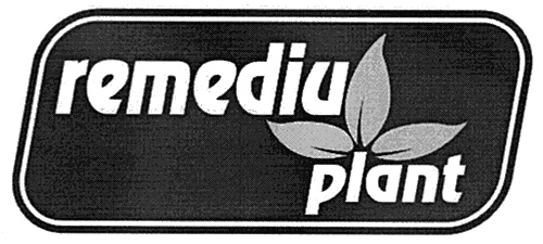 remediu plant