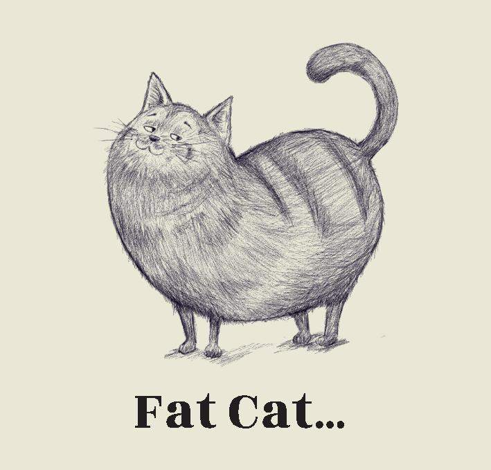 Fat Cat...