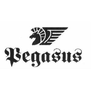 PEGASUS
