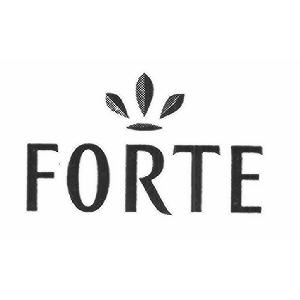 FORTE