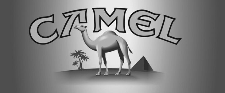 camel