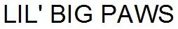 lil' big paws