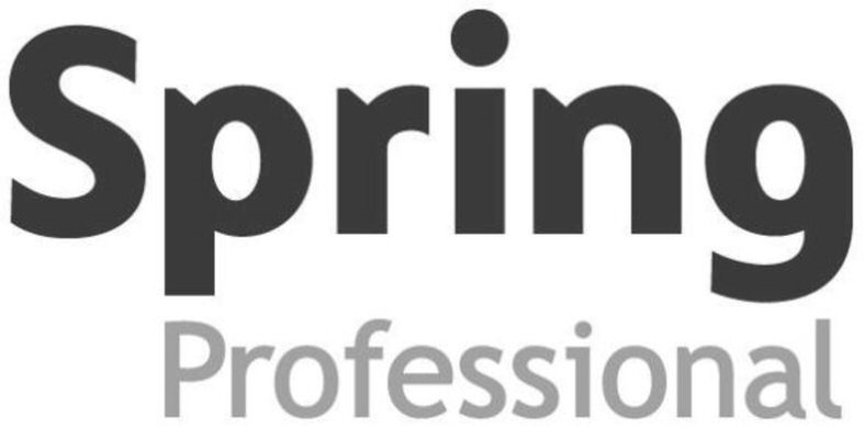 spring professional