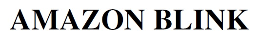 amazon blink